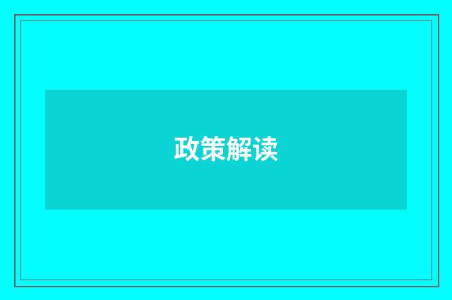 政策解读