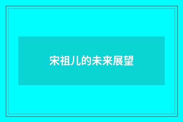 宋祖儿的未来展望