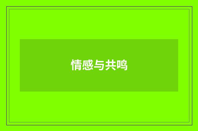 情感与共鸣