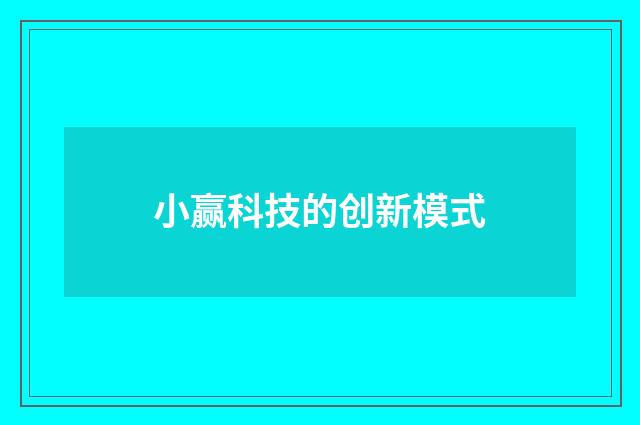 小赢科技的创新模式
