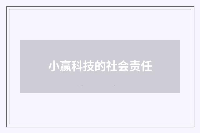 小赢科技的社会责任