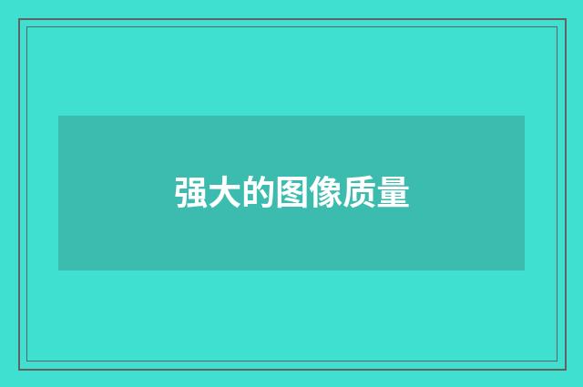 强大的图像质量
