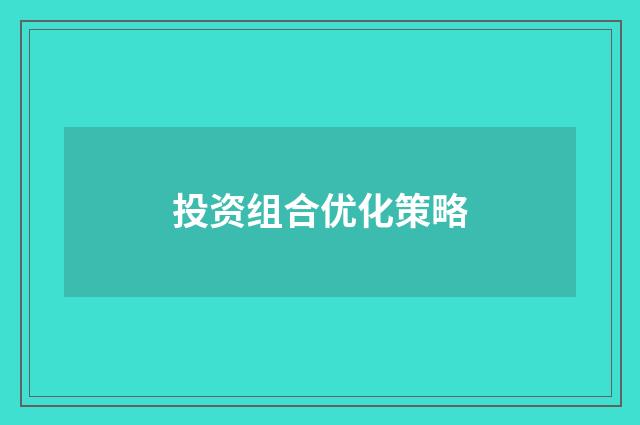 投资组合优化策略