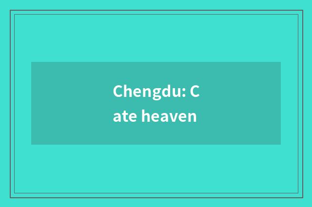 Chengdu: Cate heaven