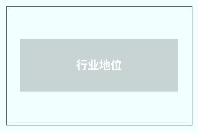 行业地位