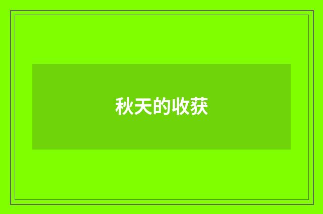 秋天的收获