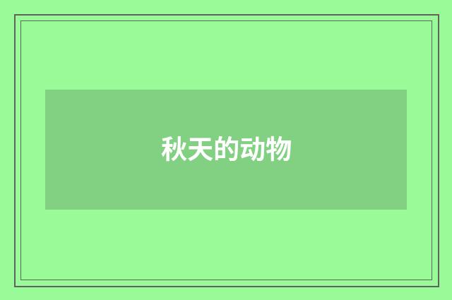 秋天的动物