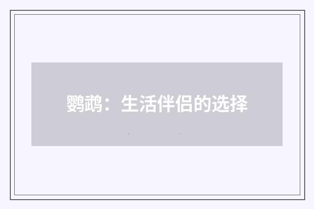 鹦鹉:生活伴侣的选择
