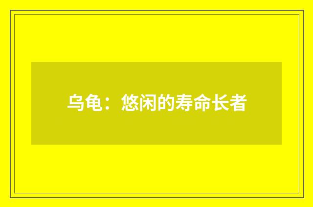 乌龟:悠闲的寿命长者
