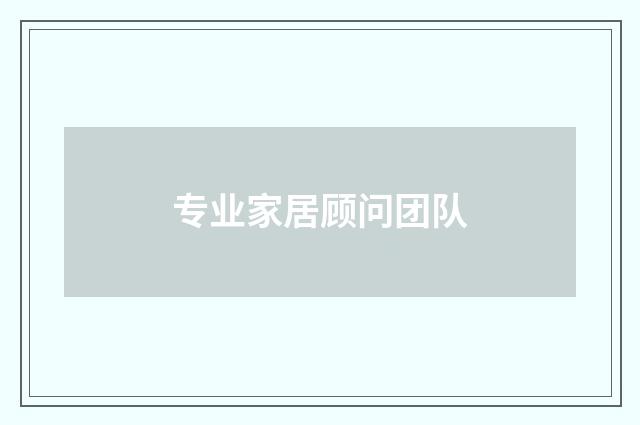 专业家居顾问团队