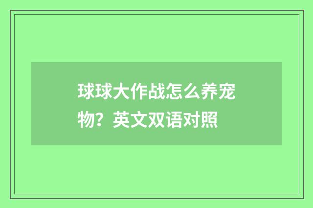 球球大作战怎么养宠物?英文双语对照
