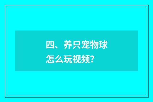 四、养只宠物球怎么玩视频?