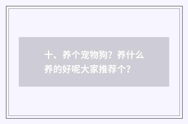 十、养个宠物狗？养什么养的好呢大家推荐个？