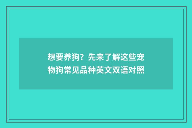 想要养狗?先来了解这些宠物狗常见品种英文双语对照
