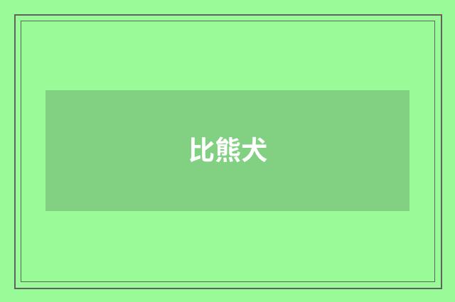 比熊犬