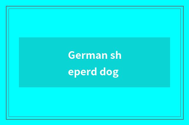 German sheperd dog