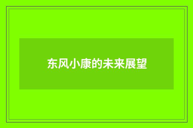 东风小康的未来展望