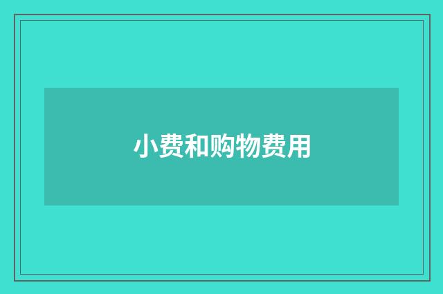 小费和购物费用