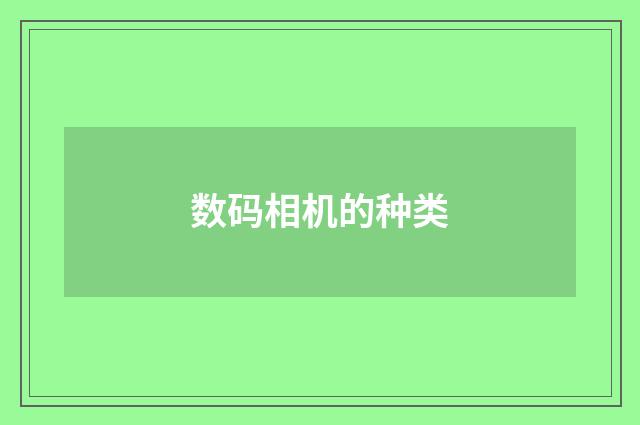 数码相机的种类