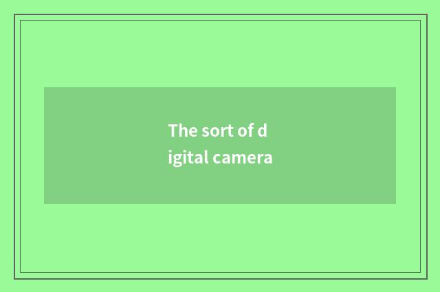 The sort of digital camera