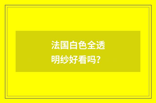 法国白色全透明纱好看吗？