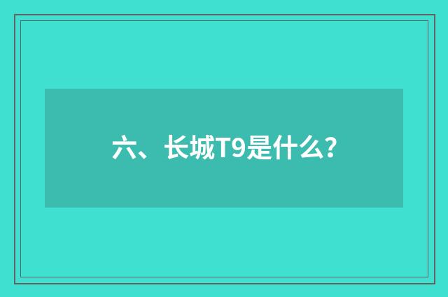 六、长城T9是什么？