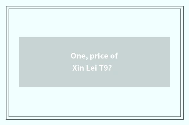 One, price of Xin Lei T9?