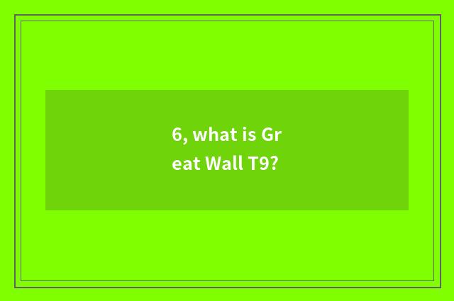 6, what is Great Wall T9?