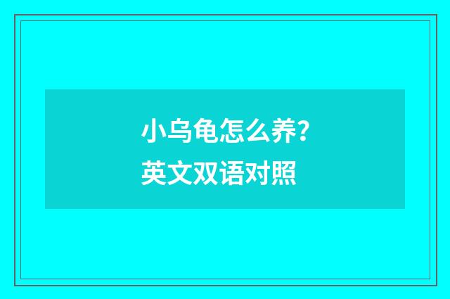 小乌龟怎么养？英文双语对照