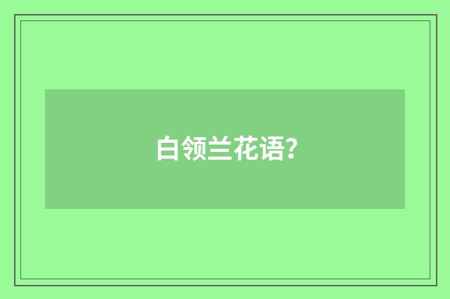 白领兰花语？