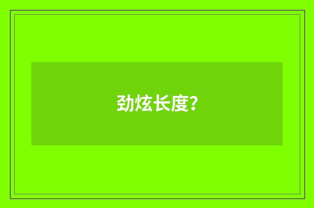 劲炫长度？
