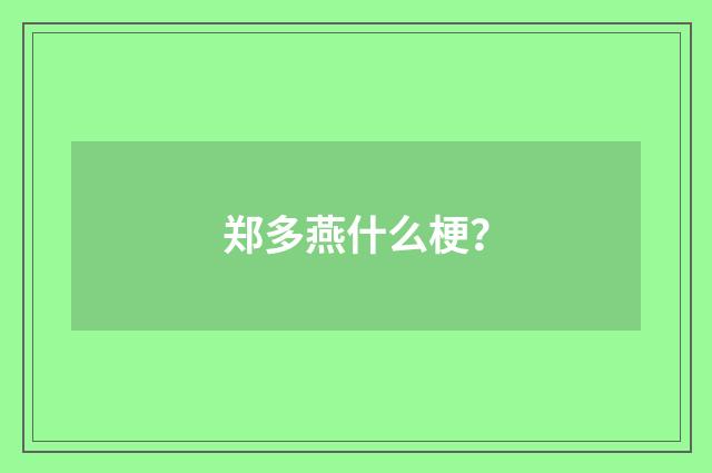 郑多燕什么梗?