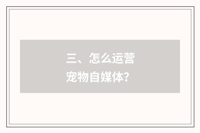 三、怎么运营宠物自媒体?
