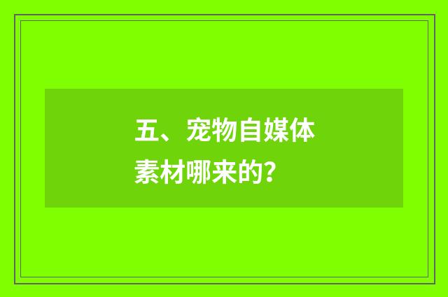 五、宠物自媒体素材哪来的？