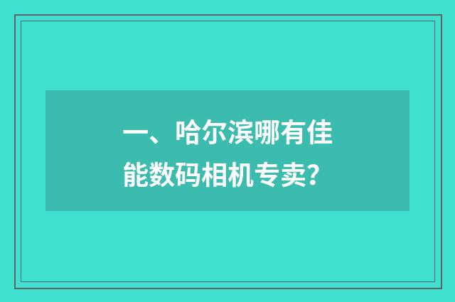 一、哈尔滨哪有佳能数码相机专卖?