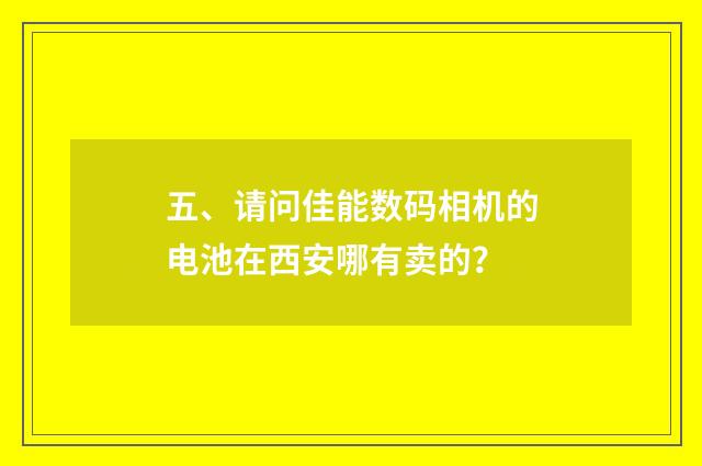 五、请问佳能数码相机的电池在西安哪有卖的?
