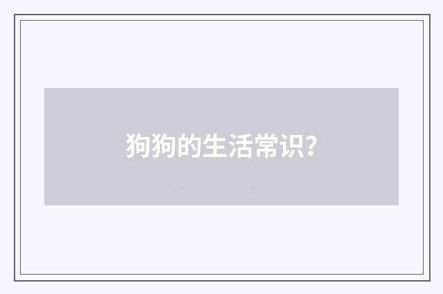 狗狗的生活常识?