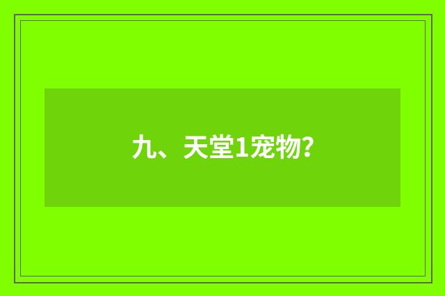 九、天堂1宠物?
