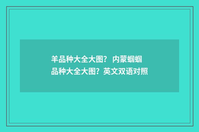 羊品种大全大图? 内蒙蝈蝈品种大全大图?英文双语对照