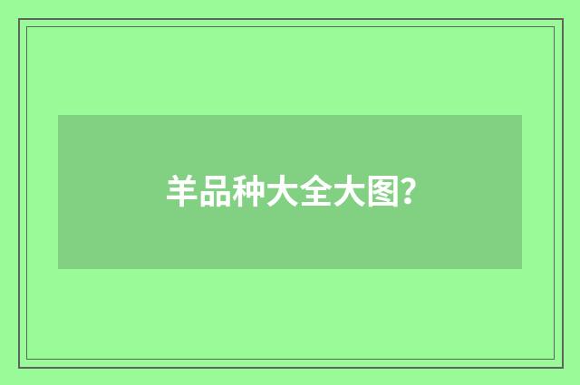 羊品种大全大图？