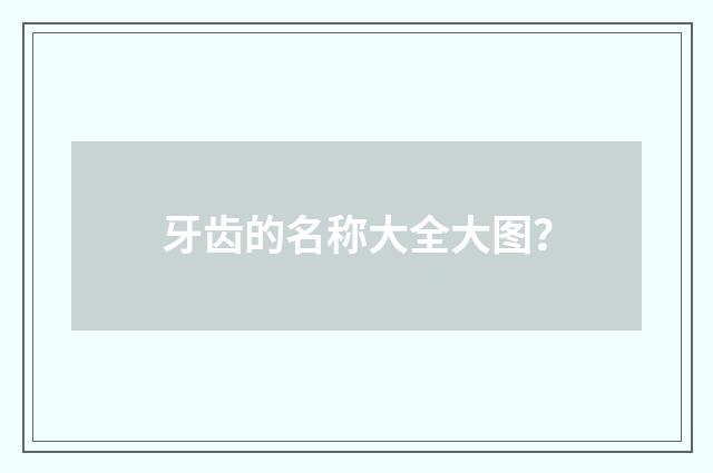 牙齿的名称大全大图?
