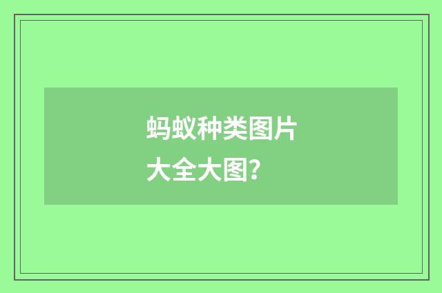 蚂蚁种类图片大全大图?