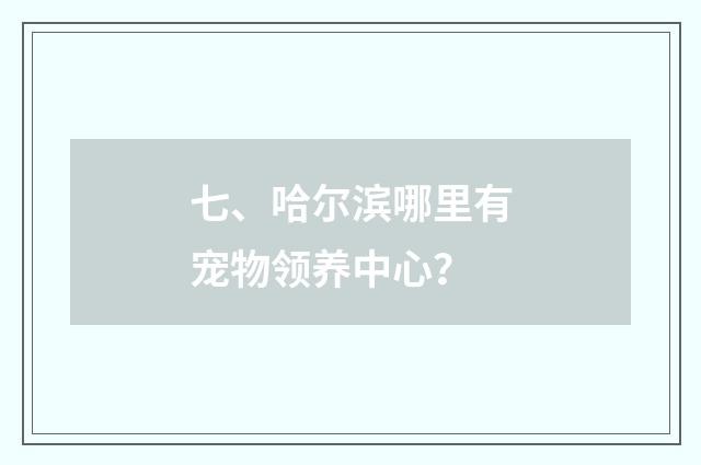 七、哈尔滨哪里有宠物领养中心？