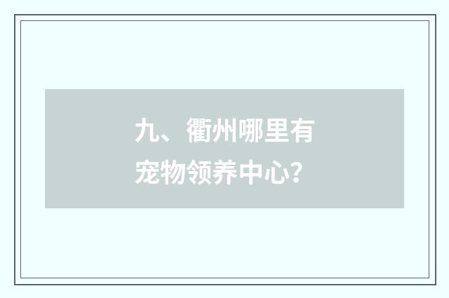 九、衢州哪里有宠物领养中心?