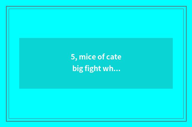 5, mice of cate big fight which cate is good with?