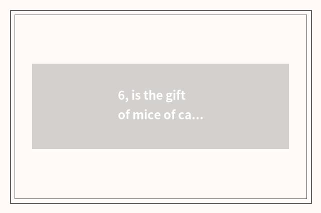 6, is the gift of mice of cate big fight changed at which? Mice of cate big figh