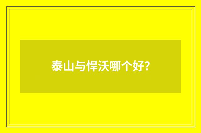 泰山与悍沃哪个好?