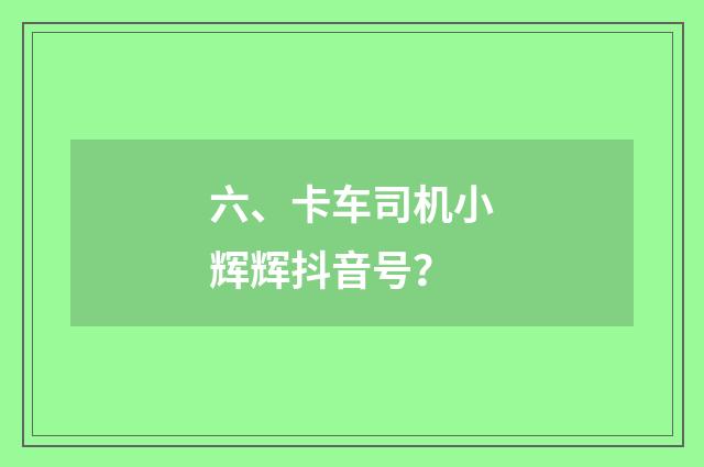 六、卡车司机小辉辉抖音号?