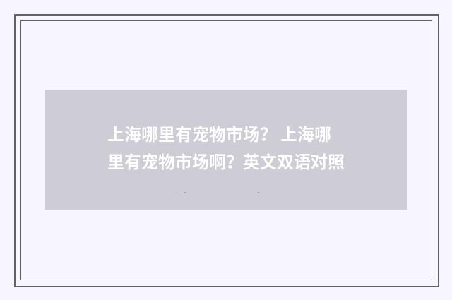 上海哪里有宠物市场? 上海哪里有宠物市场啊?英文双语对照