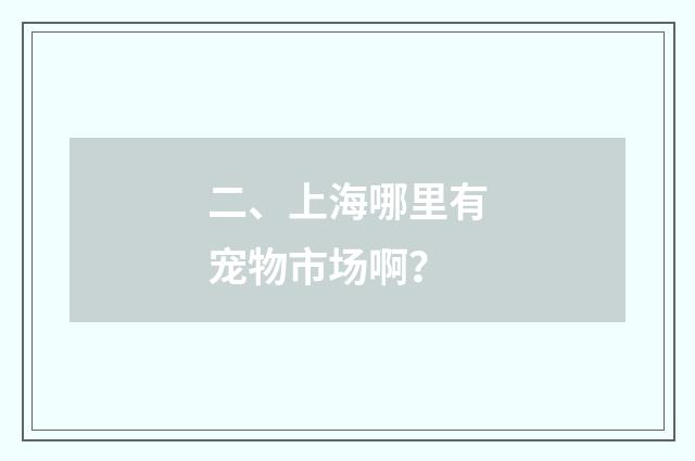 二、上海哪里有宠物市场啊？
